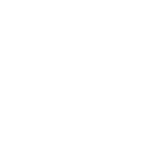 Logo de Bold Economics